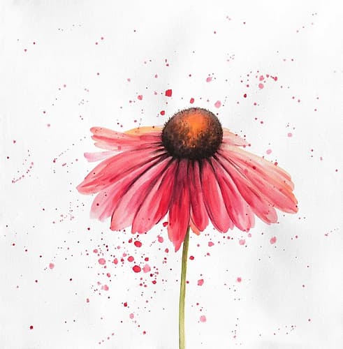 Red Daisy Art Print by Atelier B Art Studio
