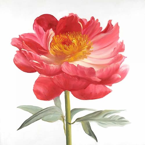 Pink Peony Art Print by Atelier B Art Studio