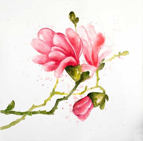Magnolia Flowers Art Print by Atelier B Art Studio