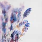 Watercolor Lavender Flowers with Blur Effect Art Print