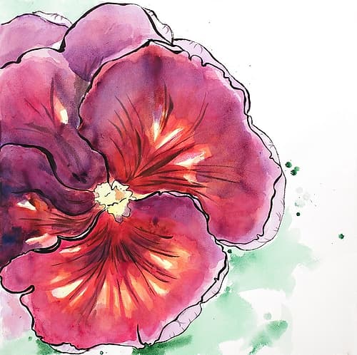 BLOSSOMING ORCHID WITH WAVY PETALS Art Print