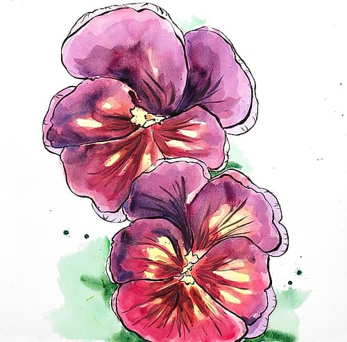 TWO BLOSSOMING ORCHID WITH WAVY PETALS Art Print