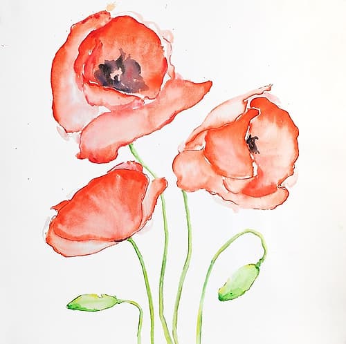 WATERCOLOR POPPIES Art Print