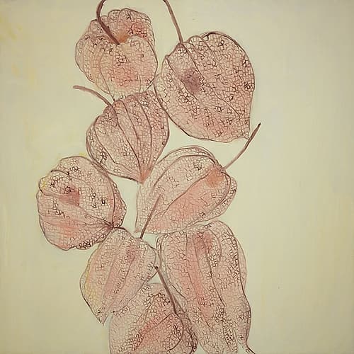 CLOSED GROUND CHERRIES Food Print