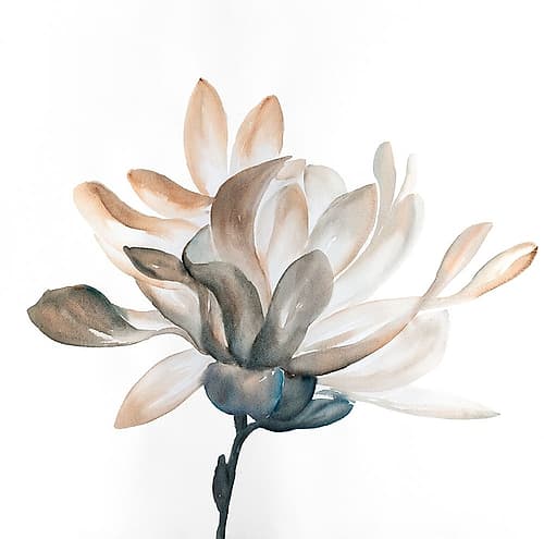 DESATURATED FLOWER WITH BEAUTIFUL PETALS Art Print