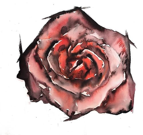 WATERCOLOR ROSE Art Print