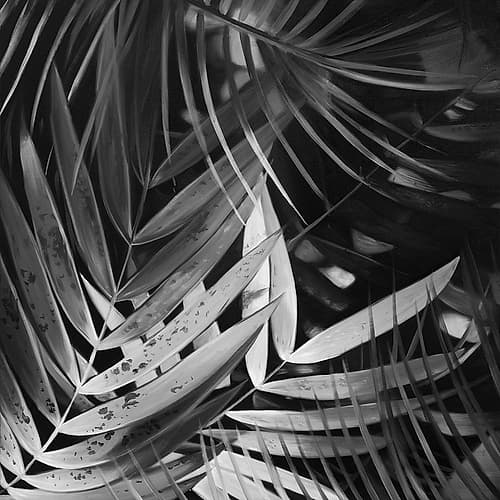 MONOCHROME TROPICALS LEAVES Art Print by Atelier B Art Studio