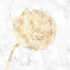 GOLDEN PEONY Art Print