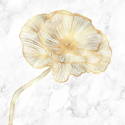 GOLDEN POPPY FLOWER Art Print by Atelier B Art Studio
