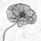 BRIGHT POPPY FLOWER Art Print