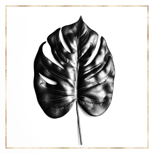 SPLIT LEAF PHILODENDRON WITH GOLD LINES Art Print by Atelier B Art Studio