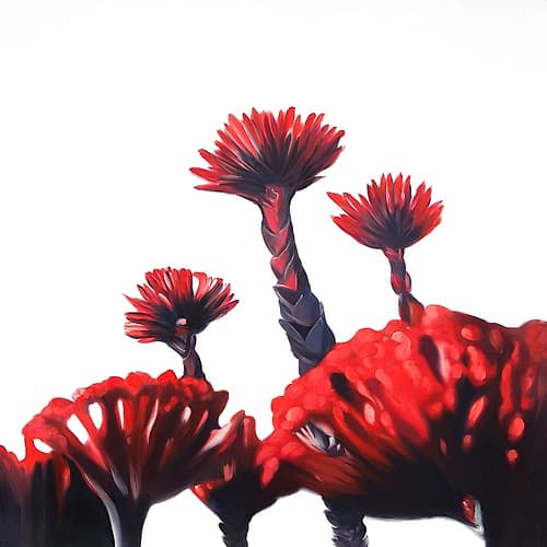RED TROPICAL FLOWERS Art Print