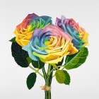 BOUQUET OF RAINBOW ROSES Art Print