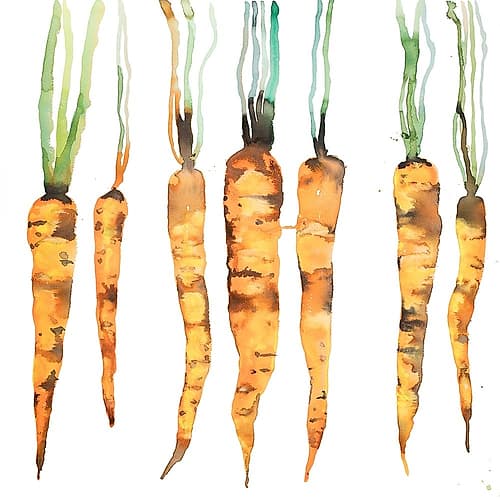 FRESHLY PICKED CARROTS Food Print