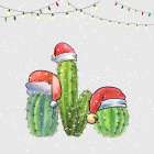 CHRISTMAS CACTUS Botanical Print