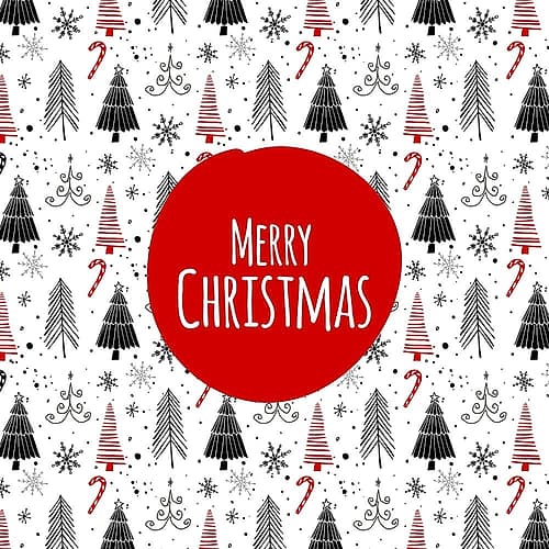 MERRY CHRISTMAS - EN Art Print