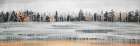 Fall Rainy Day Landscape with Trees Art Print