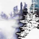 SILHOUETTE OF A FOREST Art Print
