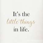 ITS THE LITTLE THINGS IN LIFE Art Print