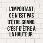 LIMPORTANT CE NEST PAS D├â┬¬TRE GRAND... Art Print