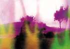 Picture of pink trees Art Print