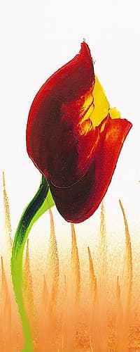 Red Yellow Tulip flower Art Print