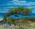 Bent Juniper Tree and Blue Sea Art Print