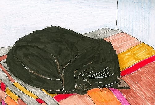 Sleeping Black Cat Art Print