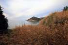 Relaxing view from the coast with wild plants Art Print