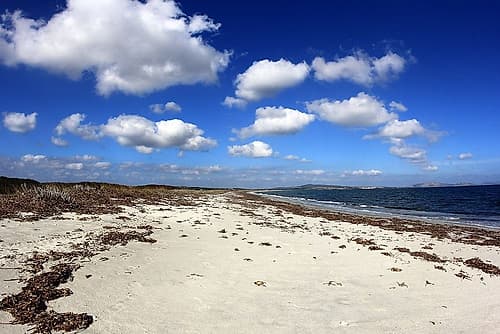 Relaxing Beach with white sand under a cloudy blue sky Coastal Print