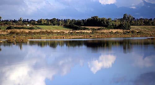 Relax-view-pond-italian-landscape Coastal Print