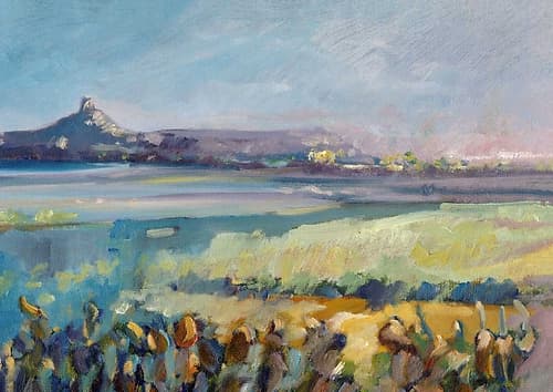 Sea and vegetation color sardinia detail Art Print by Gianfranco Zucca