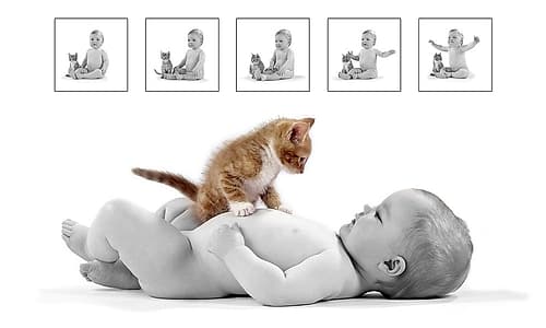 Kitten and baby Photography Print