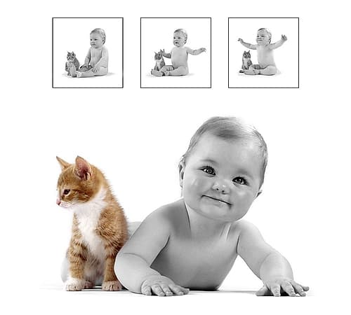 baby and kitten Photography Print