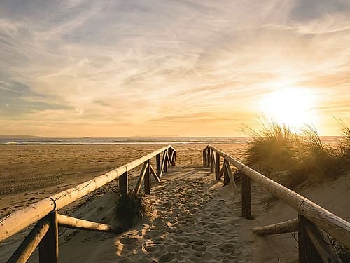 Beach Path to the Golden Sun Art Print by Schaldach