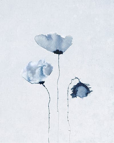 Blue Poppies 2 Art Print