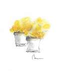 Flower Pot Duo Art Print