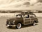 Vintage Woody Sepia Art Print