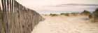 Sand Fence, Early Morning Art Print