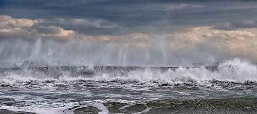 Wave Ballet Art Print by Eve Turek