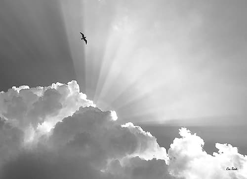 Heavenly Photography Print