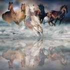 Herd Run Art Print by Svetlana