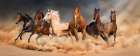 Desert Run Art Print by Svetlana