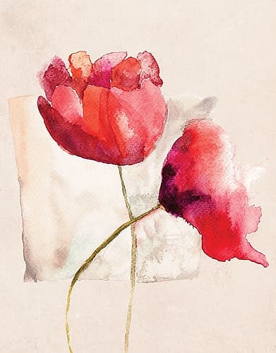 Retro Poppy Watercolor Art Print