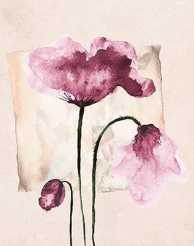 Violet Watercolor Poppies Art Print