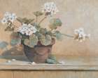 Potted Geranium I Art Print by Unknown