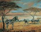Savanne Zebras Art Print by Unknown