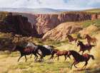 Wild Horses II Art Print by Unknown