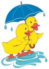 Ducks and Umbrella Art Print by Unknown