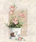 Primrose Art Print by Unknown